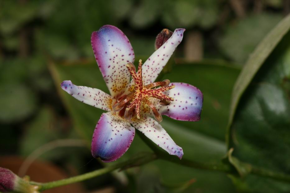 «ö¦¹¦b·sµøµ¡ÂsÄý¹Ï¤ù