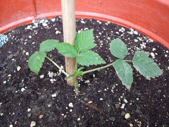 «ö¦¹¦b·sµøµ¡ÂsÄý¹Ï¤ù