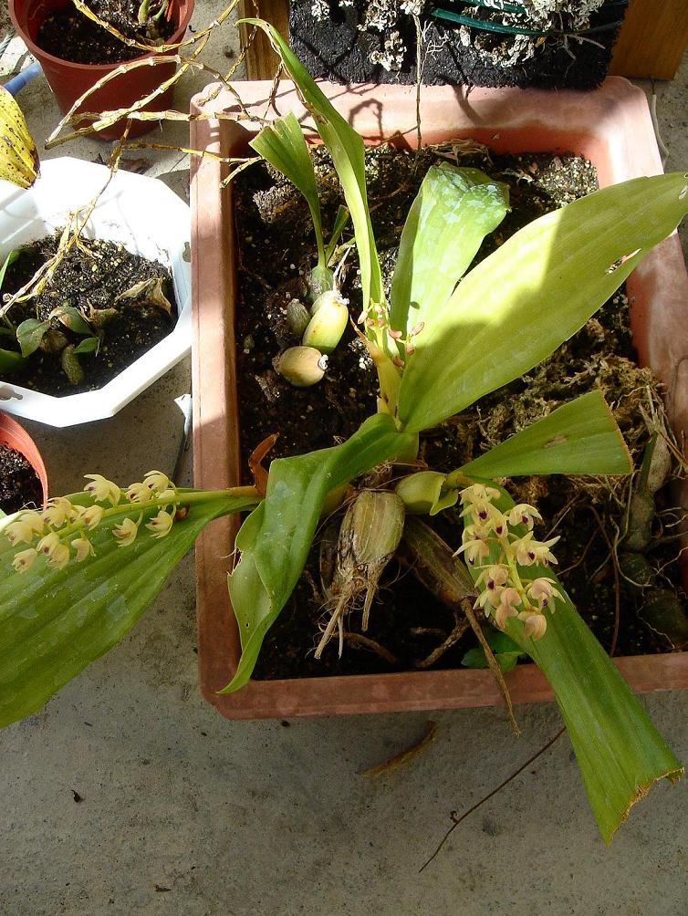 «ö¦¹¦b·sµøµ¡ÂsÄý¹Ï¤ù