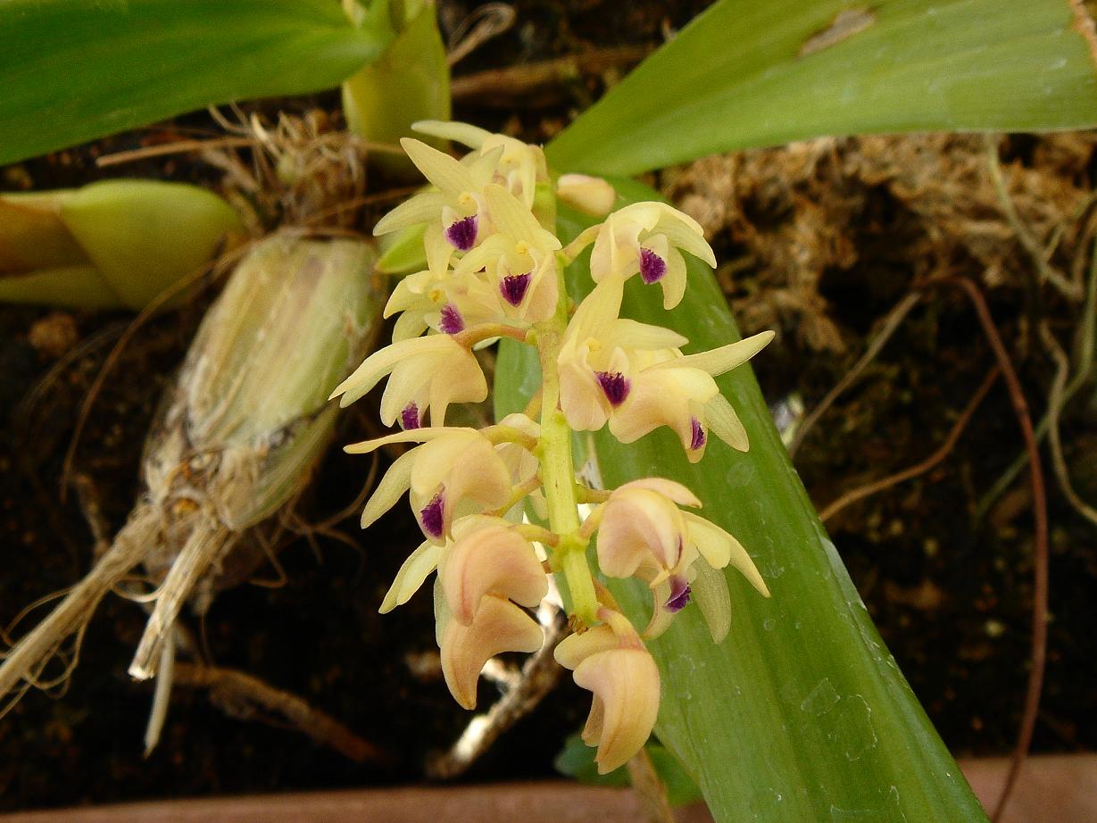 «ö¦¹¦b·sµøµ¡ÂsÄý¹Ï¤ù