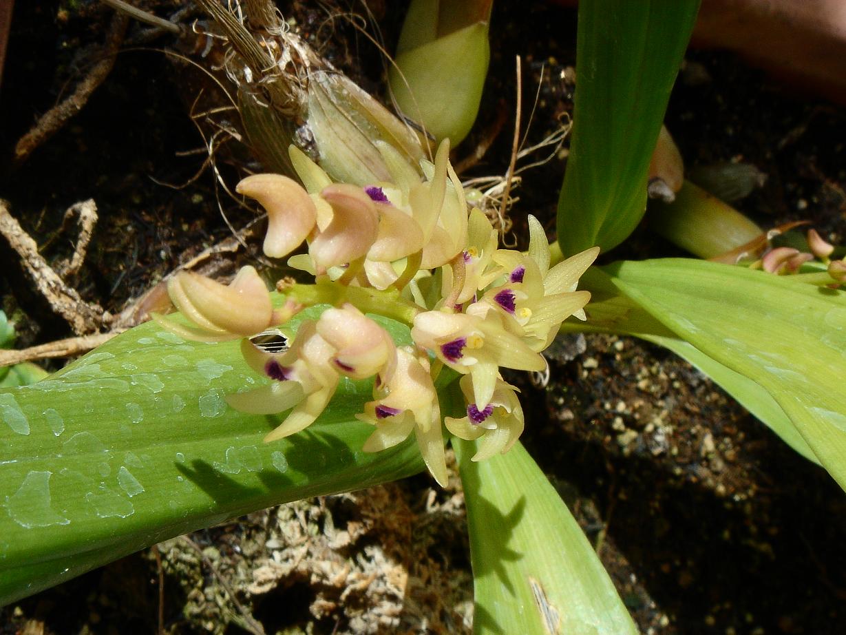 «ö¦¹¦b·sµøµ¡ÂsÄý¹Ï¤ù