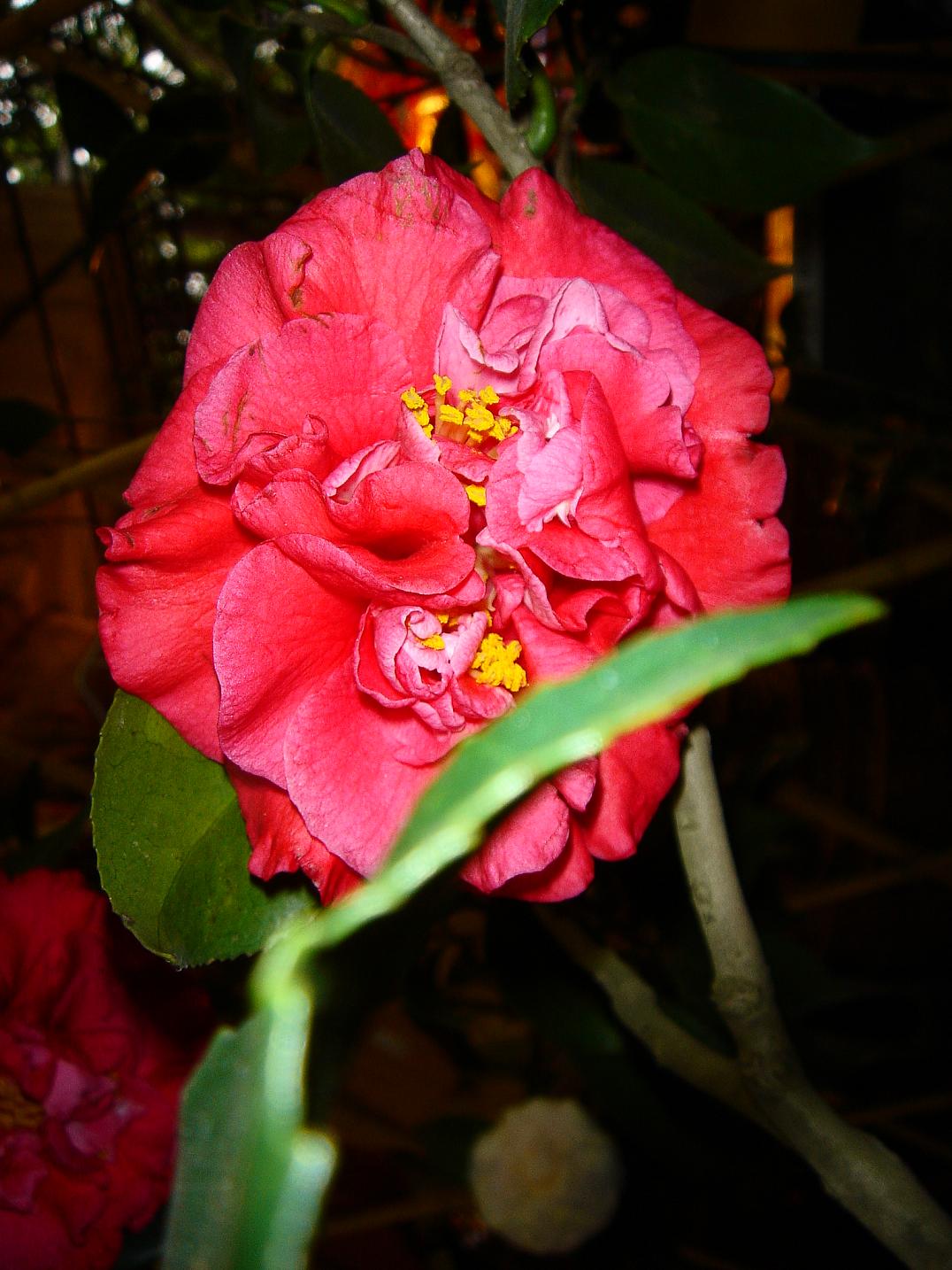 «ö¦¹¦b·sµøµ¡ÂsÄý¹Ï¤ù