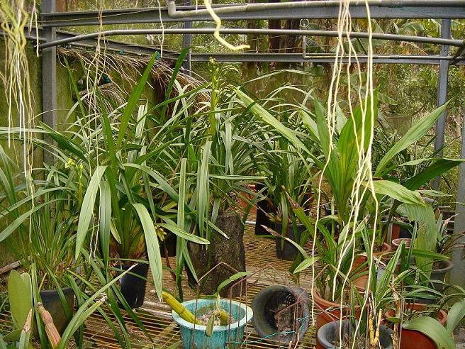 «ö¦¹¦b·sµøµ¡ÂsÄý¹Ï¤ù