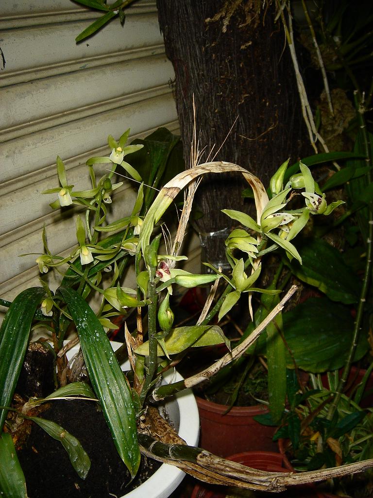 «ö¦¹¦b·sµøµ¡ÂsÄý¹Ï¤ù