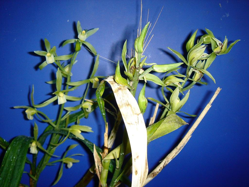 «ö¦¹¦b·sµøµ¡ÂsÄý¹Ï¤ù