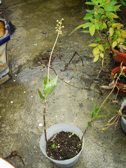 «ö¦¹¦b·sµøµ¡ÂsÄý¹Ï¤ù