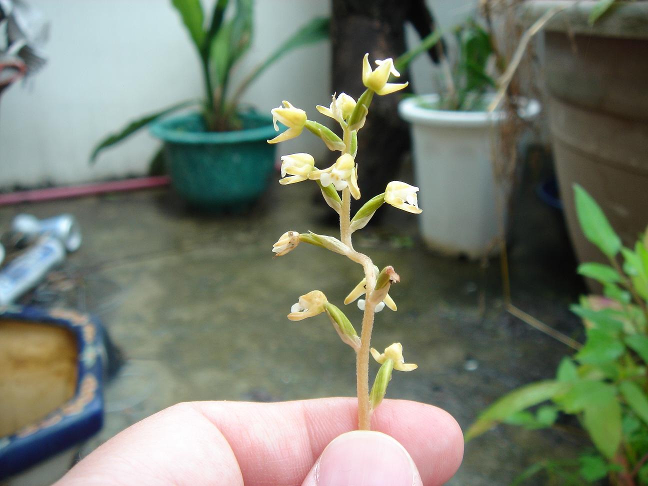 «ö¦¹¦b·sµøµ¡ÂsÄý¹Ï¤ù