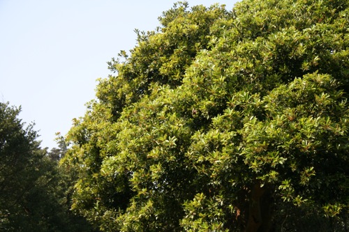 «ö¦¹¦b·sµøµ¡ÂsÄý¹Ï¤ù