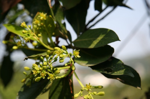 «ö¦¹¦b·sµøµ¡ÂsÄý¹Ï¤ù