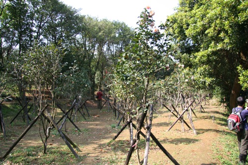 «ö¦¹¦b·sµøµ¡ÂsÄý¹Ï¤ù