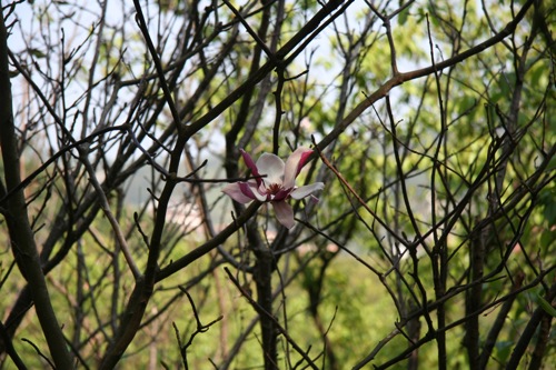 «ö¦¹¦b·sµøµ¡ÂsÄý¹Ï¤ù