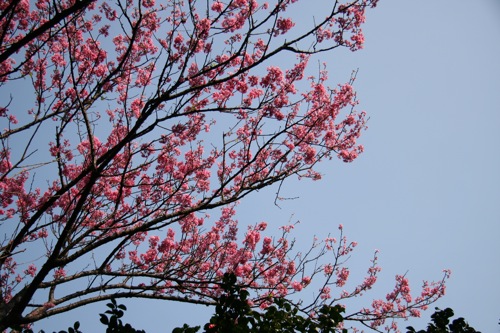 «ö¦¹¦b·sµøµ¡ÂsÄý¹Ï¤ù