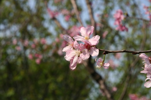 «ö¦¹¦b·sµøµ¡ÂsÄý¹Ï¤ù