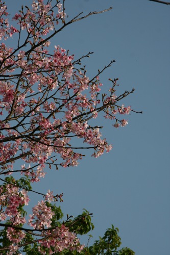 «ö¦¹¦b·sµøµ¡ÂsÄý¹Ï¤ù