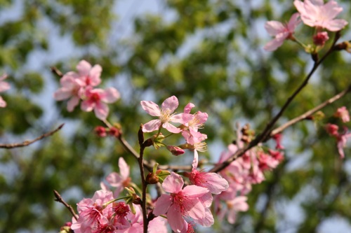 «ö¦¹¦b·sµøµ¡ÂsÄý¹Ï¤ù