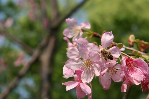 «ö¦¹¦b·sµøµ¡ÂsÄý¹Ï¤ù