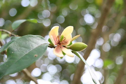 «ö¦¹¦b·sµøµ¡ÂsÄý¹Ï¤ù