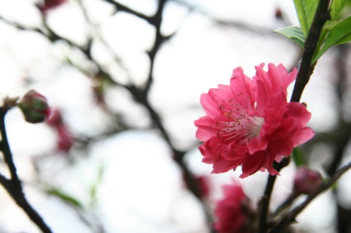 «ö¦¹¦b·sµøµ¡ÂsÄý¹Ï¤ù