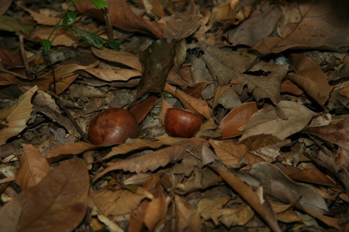 «ö¦¹¦b·sµøµ¡ÂsÄý¹Ï¤ù