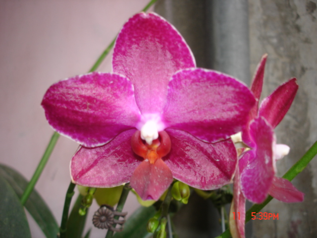 «ö¦¹¦b·sµøµ¡ÂsÄý¹Ï¤ù