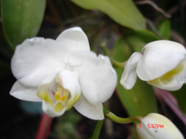 «ö¦¹¦b·sµøµ¡ÂsÄý¹Ï¤ù