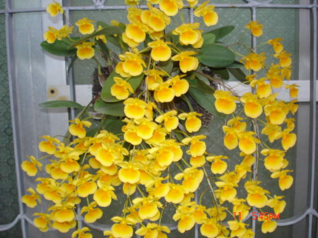 «ö¦¹¦b·sµøµ¡ÂsÄý¹Ï¤ù