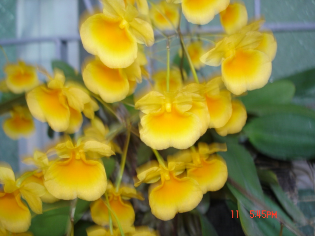 «ö¦¹¦b·sµøµ¡ÂsÄý¹Ï¤ù