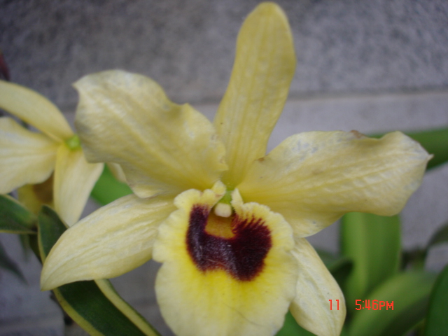 «ö¦¹¦b·sµøµ¡ÂsÄý¹Ï¤ù