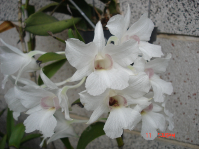 «ö¦¹¦b·sµøµ¡ÂsÄý¹Ï¤ù