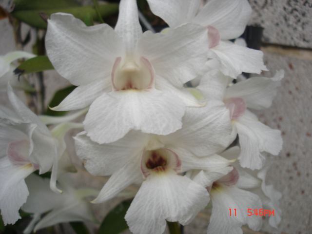 «ö¦¹¦b·sµøµ¡ÂsÄý¹Ï¤ù