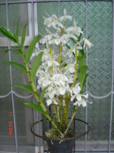 «ö¦¹¦b·sµøµ¡ÂsÄý¹Ï¤ù