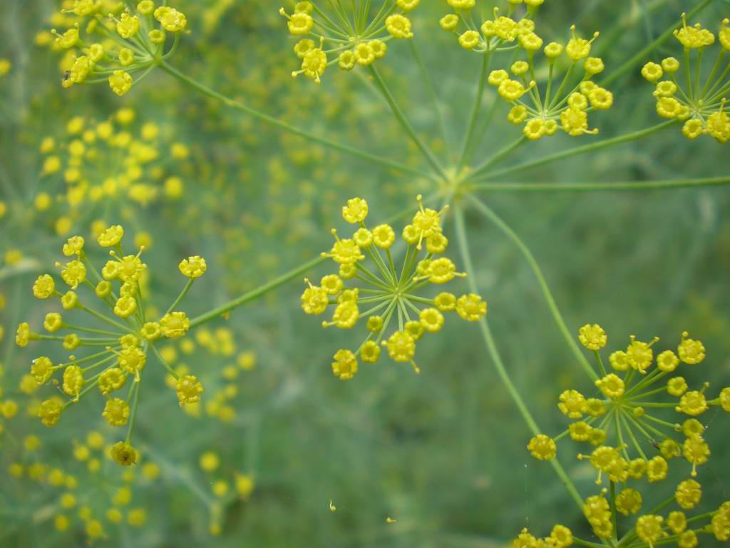 «ö¦¹¦b·sµøµ¡ÂsÄý¹Ï¤ù