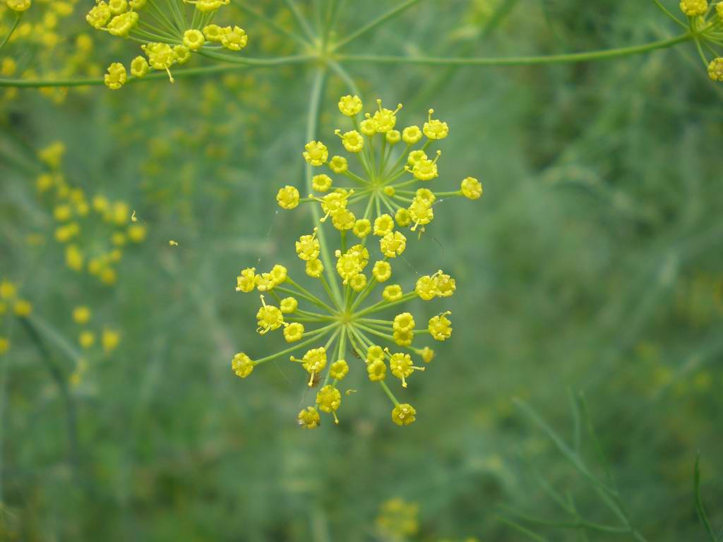 «ö¦¹¦b·sµøµ¡ÂsÄý¹Ï¤ù