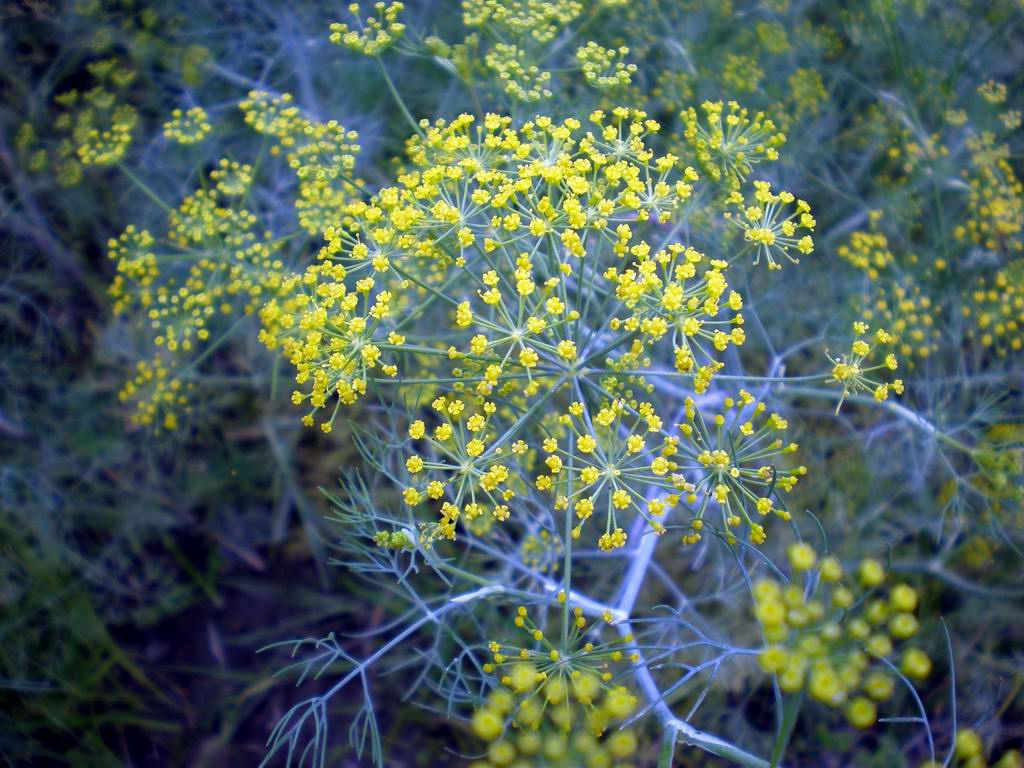 «ö¦¹¦b·sµøµ¡ÂsÄý¹Ï¤ù