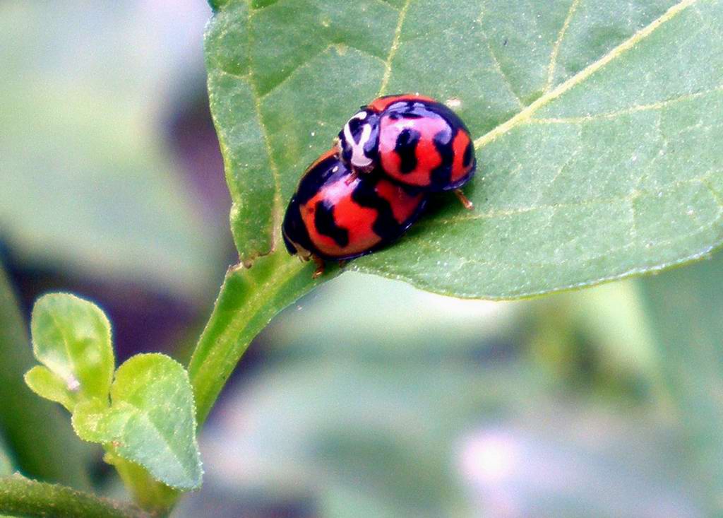 «ö¦¹¦b·sµøµ¡ÂsÄý¹Ï¤ù