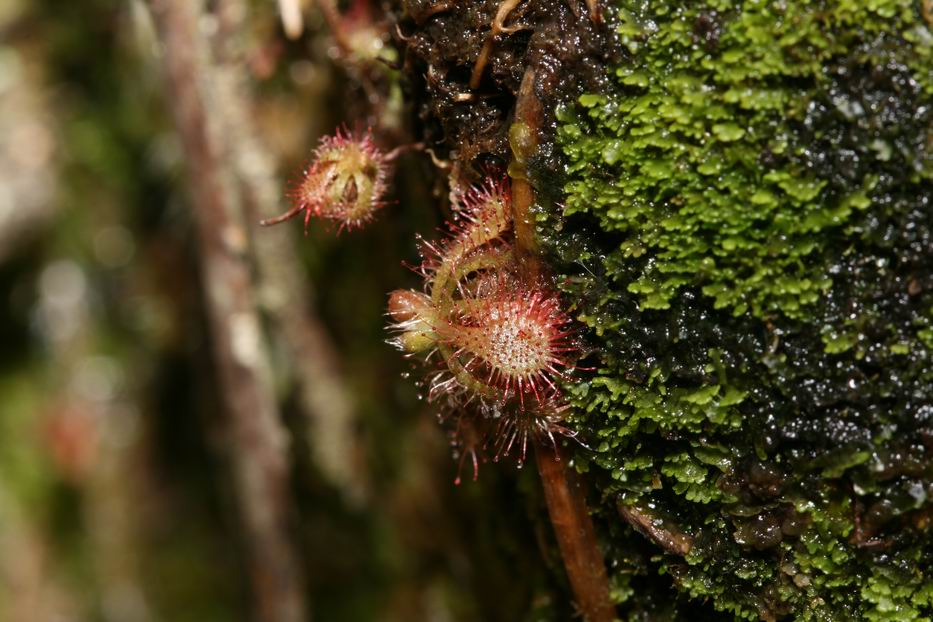 «ö¦¹¦b·sµøµ¡ÂsÄý¹Ï¤ù