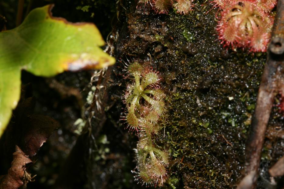 «ö¦¹¦b·sµøµ¡ÂsÄý¹Ï¤ù