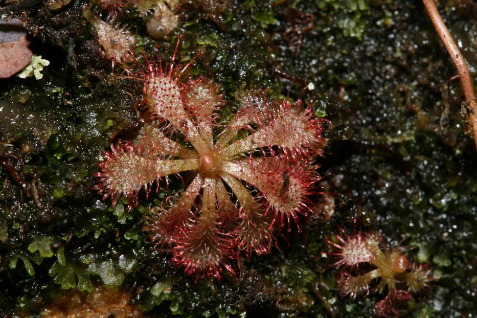 «ö¦¹¦b·sµøµ¡ÂsÄý¹Ï¤ù