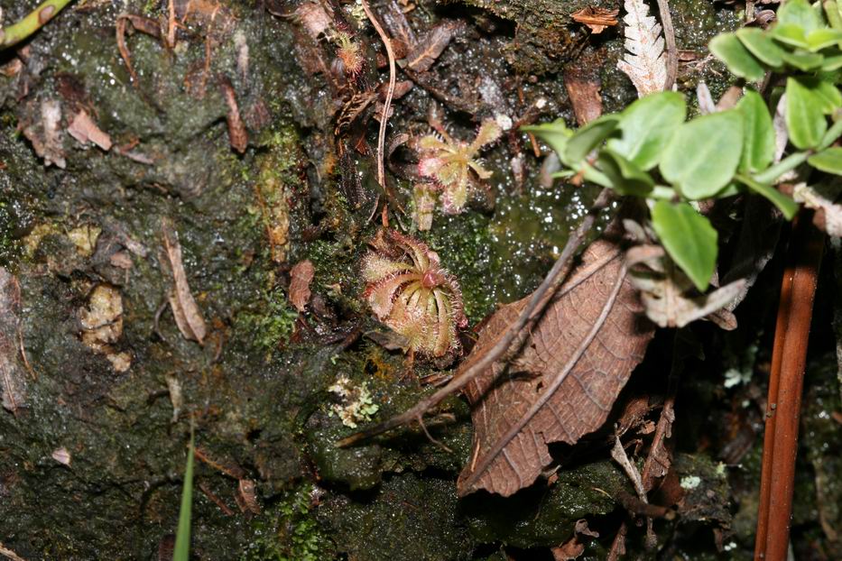 «ö¦¹¦b·sµøµ¡ÂsÄý¹Ï¤ù