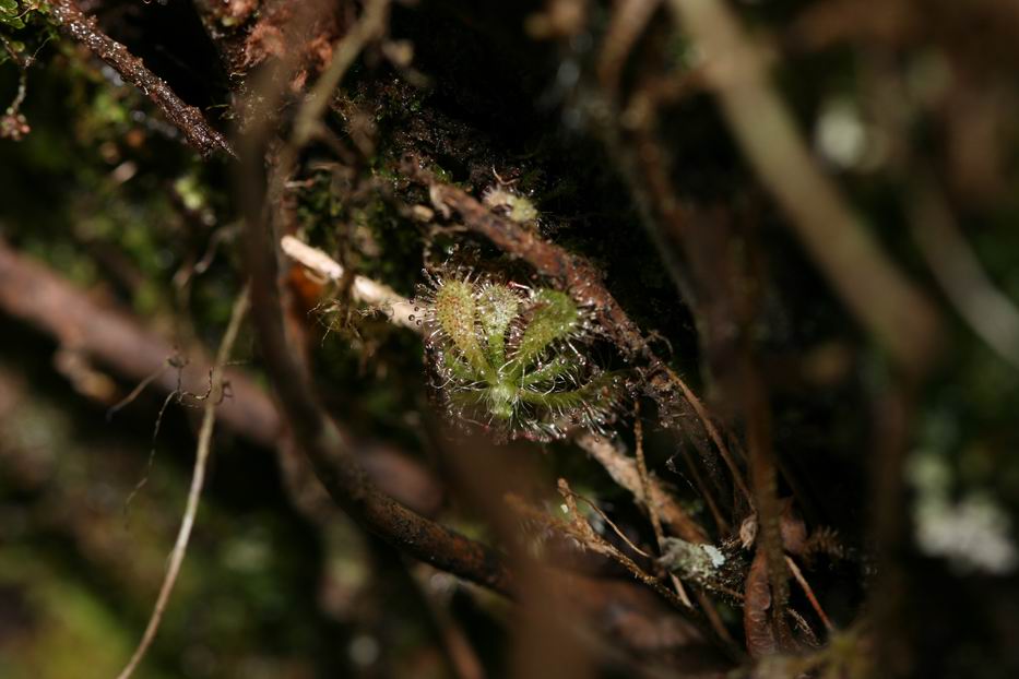 «ö¦¹¦b·sµøµ¡ÂsÄý¹Ï¤ù