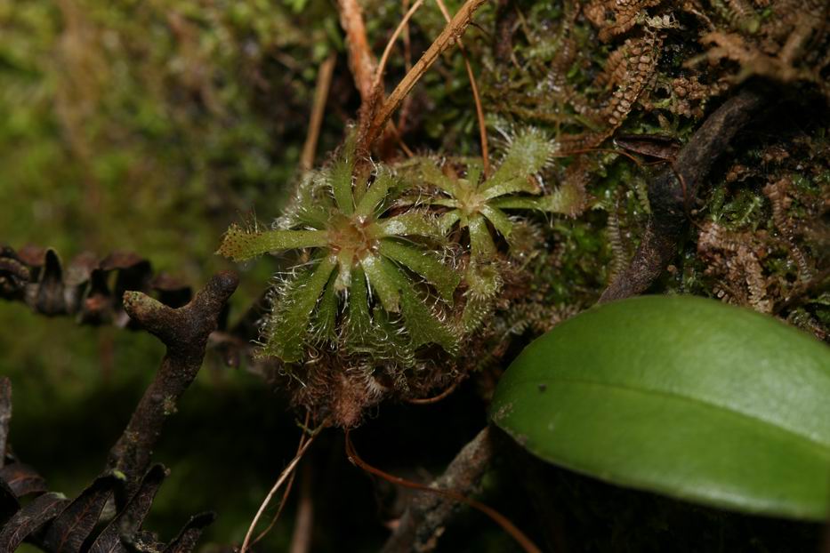 «ö¦¹¦b·sµøµ¡ÂsÄý¹Ï¤ù