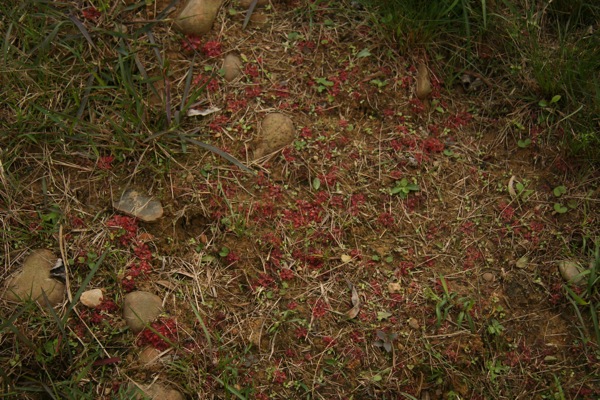 «ö¦¹¦b·sµøµ¡ÂsÄý¹Ï¤ù