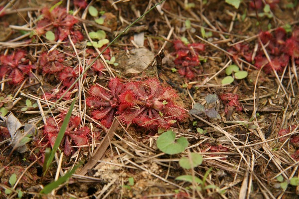 «ö¦¹¦b·sµøµ¡ÂsÄý¹Ï¤ù