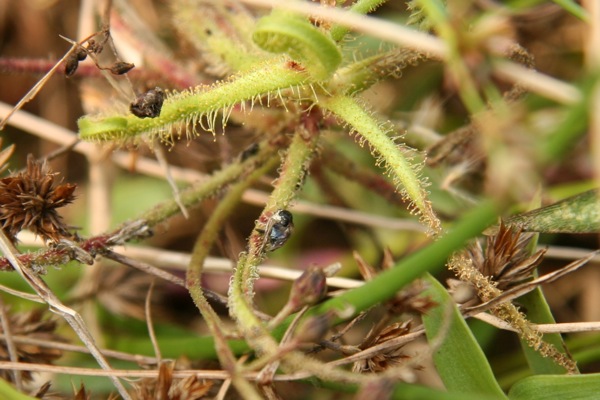 «ö¦¹¦b·sµøµ¡ÂsÄý¹Ï¤ù