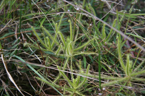 «ö¦¹¦b·sµøµ¡ÂsÄý¹Ï¤ù