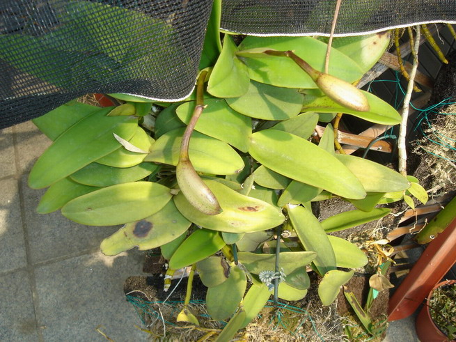 «ö¦¹¦b·sµøµ¡ÂsÄý¹Ï¤ù