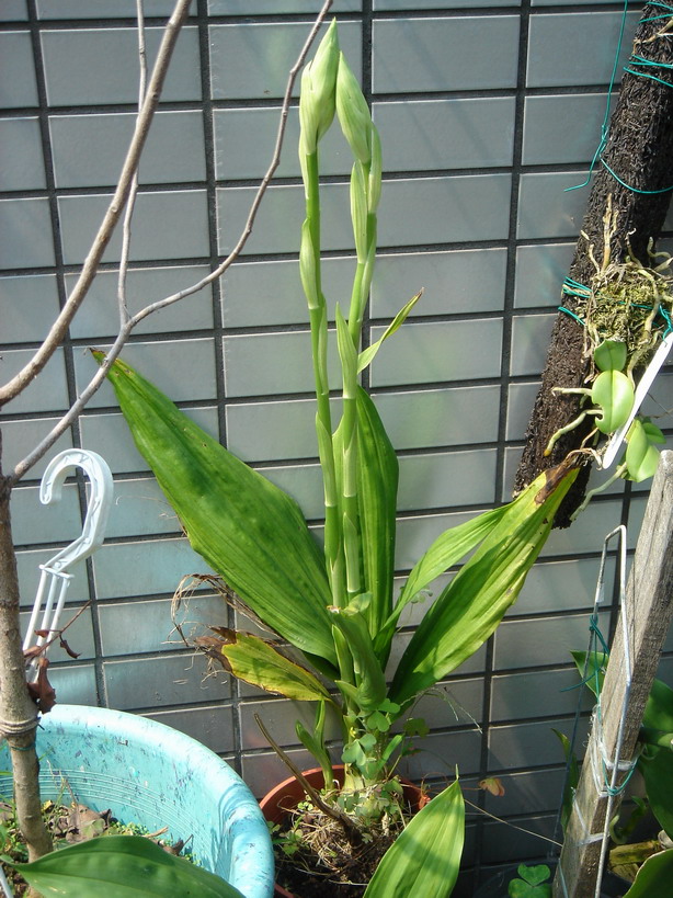 «ö¦¹¦b·sµøµ¡ÂsÄý¹Ï¤ù