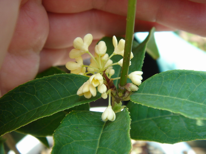 «ö¦¹¦b·sµøµ¡ÂsÄý¹Ï¤ù