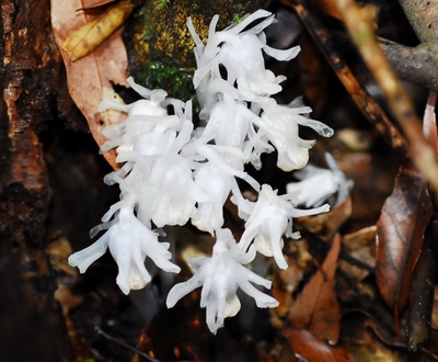 «ö¦¹¦b·sµøµ¡ÂsÄý¹Ï¤ù