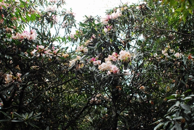 «ö¦¹¦b·sµøµ¡ÂsÄý¹Ï¤ù